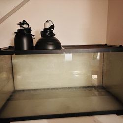 Terrarium Reptile Or Turtle tank
