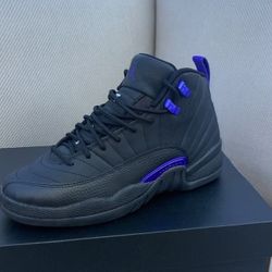 Jordan 12