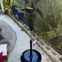 Fan 