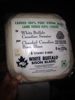 White buffalo bison Blanca