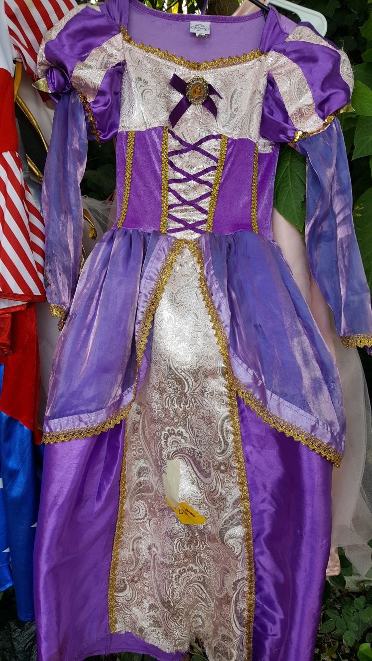 RApunzel Disney costume