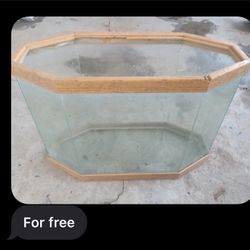 Free Fish Tank 