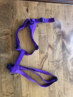 Dog leash/harness Hamilton brand for medium size dog