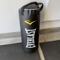 Punching Bag