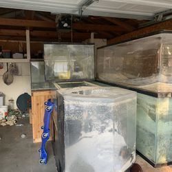 Fish tanks 