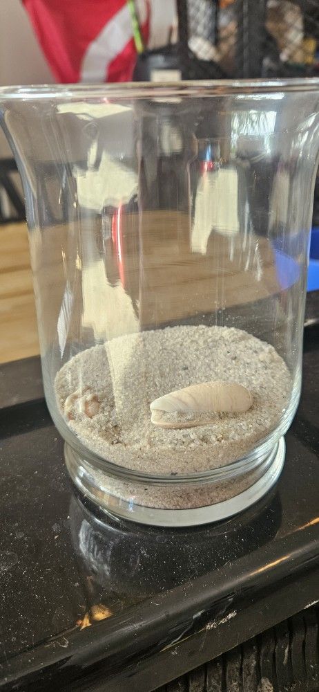 Hurricane Vases Set Of 6