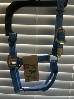 Hamilton Halter Yearling Horse Halter Blue