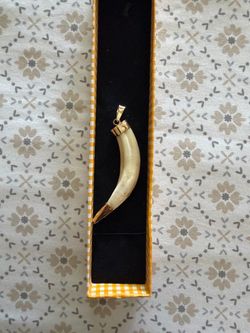 Jabalí tooth