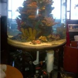 400 gallon acrylic fresh or salt water fish tank complete with sand no plumbing artificial coral included