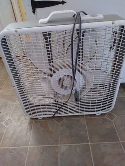 Fan
