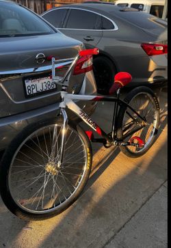 Throne 29er