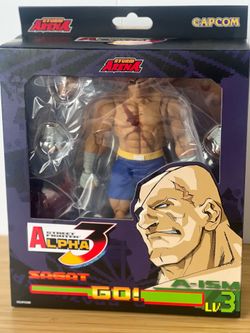 Storm Arena Street Fighter 3 Sagat