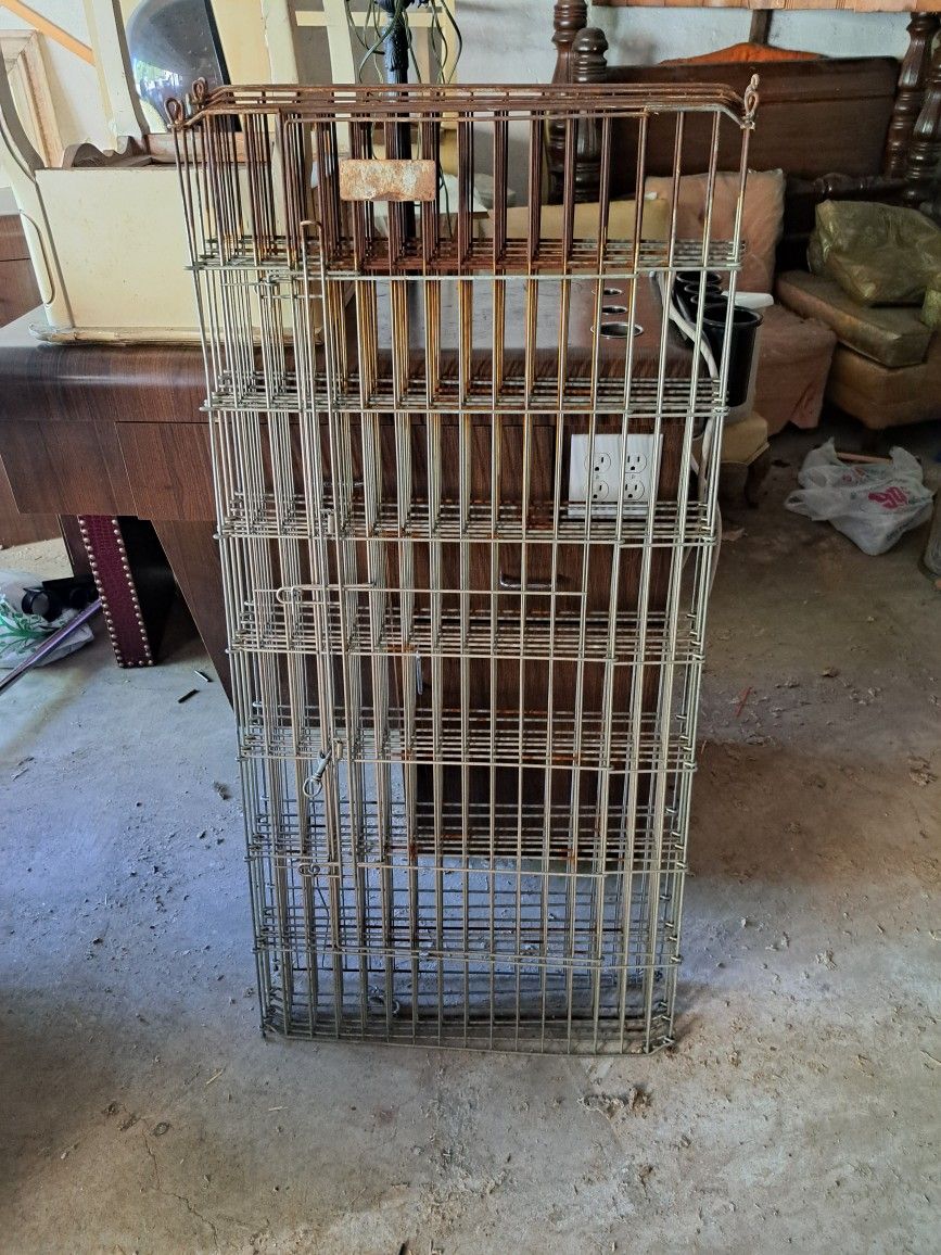 Dog Gate