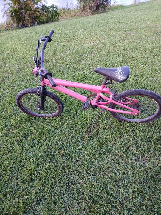 20 Inch Bike