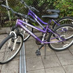 Roadmaster&Huffy Big Kids/Adult  Bikes