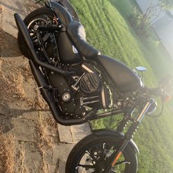 Harley Davidson 883 Sportster 