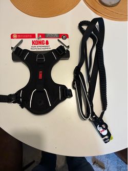 Kong Dog Harness and leash