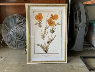 Wall Decor