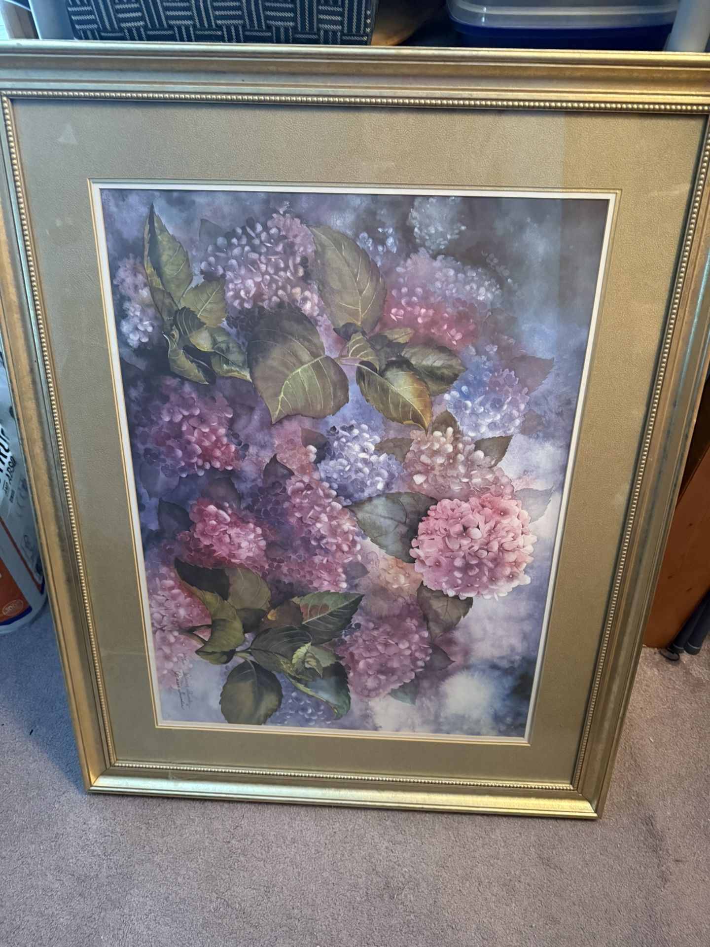 Hydrangea ‘s Large Picture