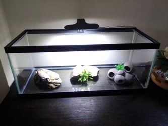Aquarium for fish or reptiles