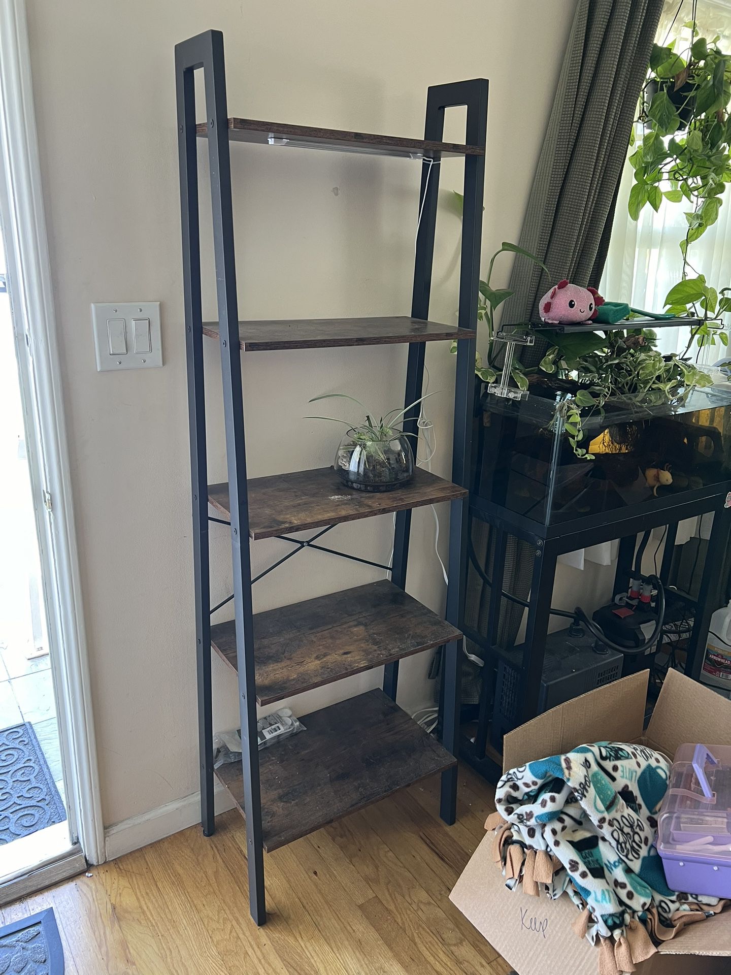 Freestanding Ladder Bookshelf with Installed Shelf Lighting