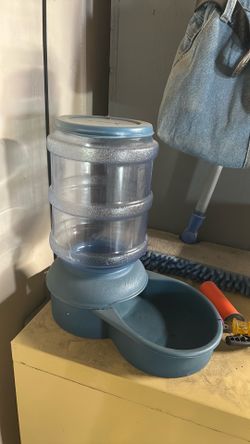 Bowel for Dog or cat