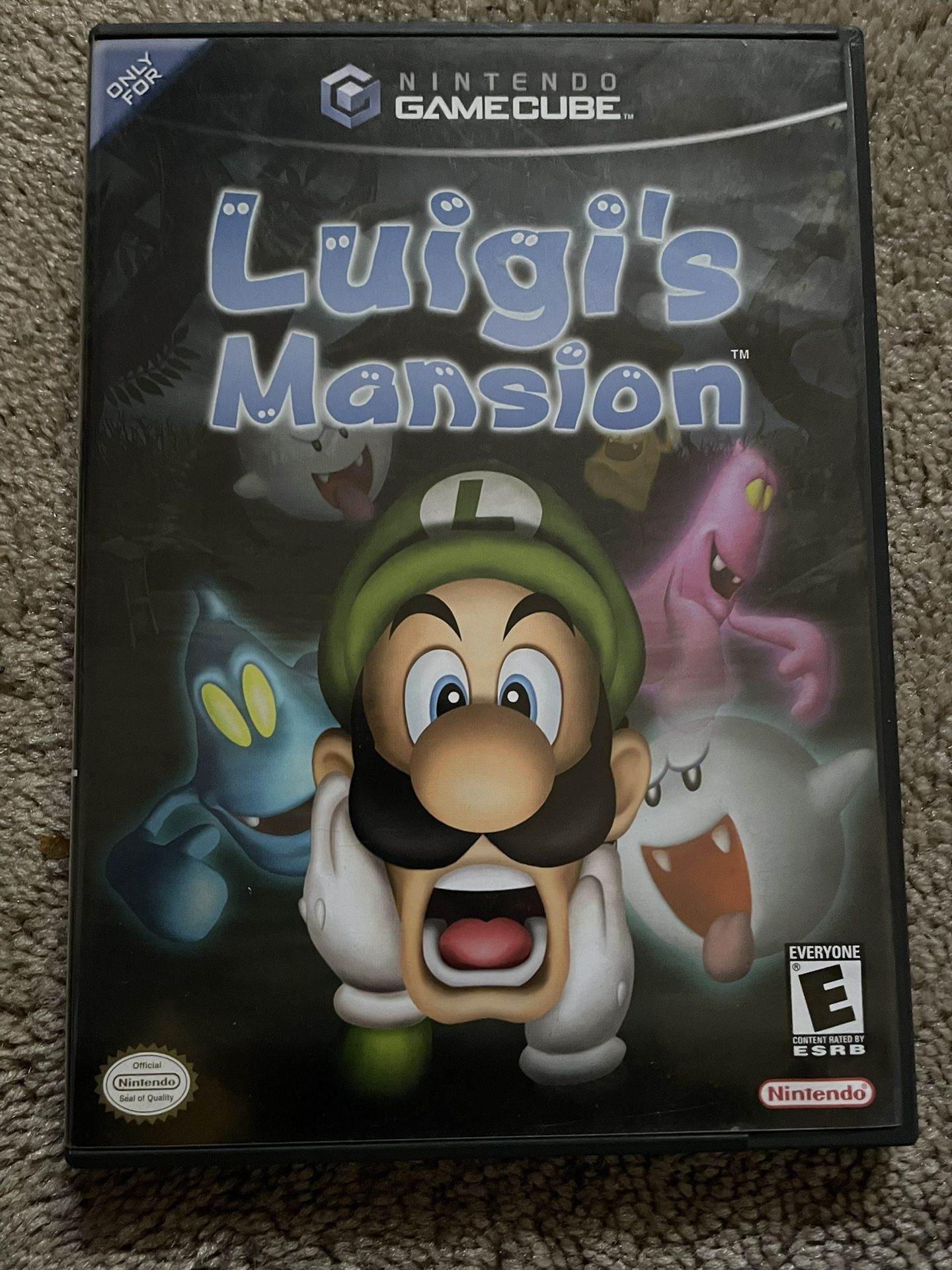 Luigi’s Mansion