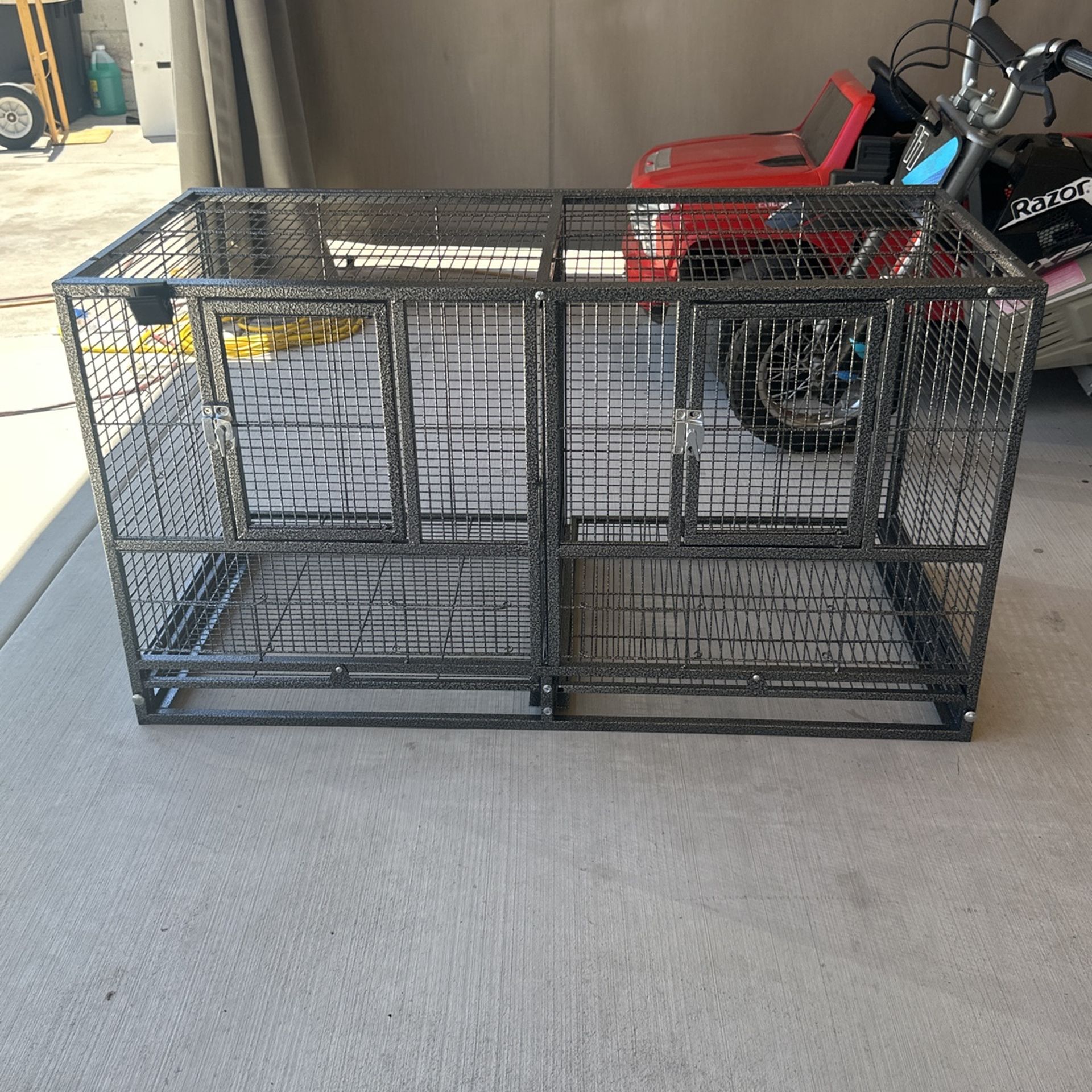 Bird Cage
