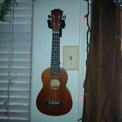 Ukulele Two Different Ones 