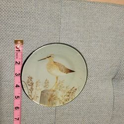 Set of 4 Sandpiper Bird Plates. Art. RARE. Gottschlag Signed. Shore birds. Beach Theme