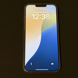 iPhone 13 Pro Max 512GB