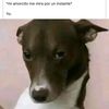 J. A
