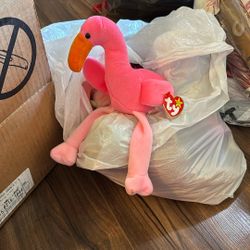 Pinky Ty Beanie Baby 