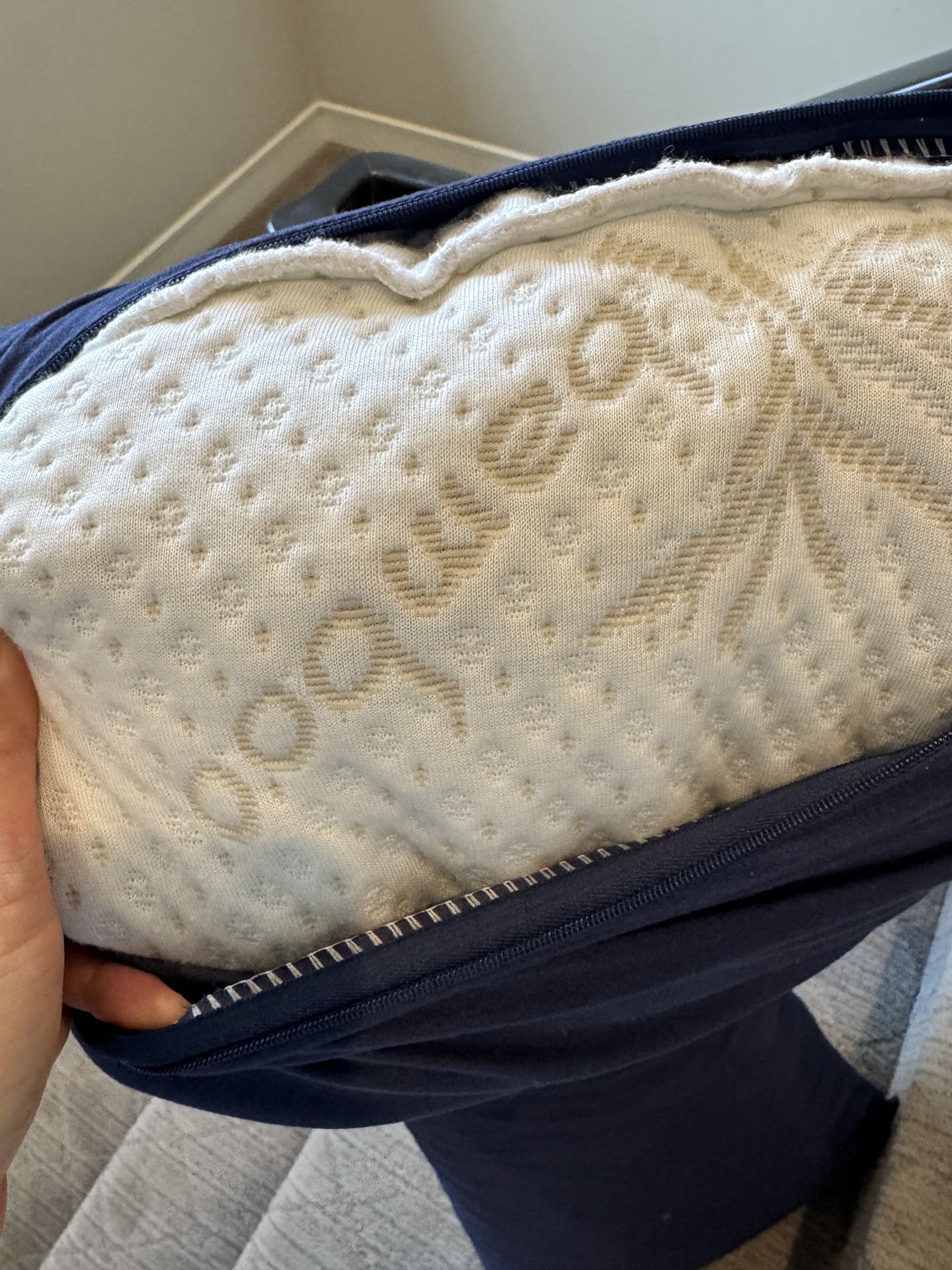 FREE Bamboo Body Pillow