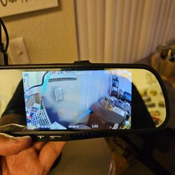 Video rear view camera/mirror