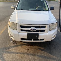 2010 Ford Escape Hybrid