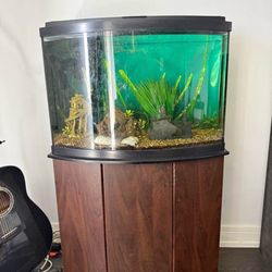 36 Gallon Tank 