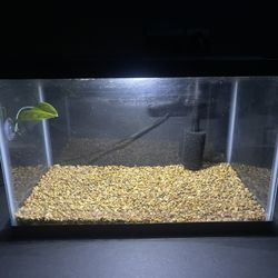 6 Gallon Fish Tank 