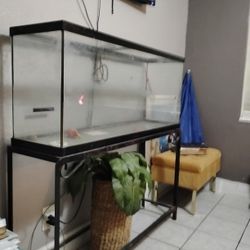 Nice Fish Tank/With Stand