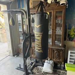 Everlast 2 Station Boxing Stand With Premium boxing Gloves.
