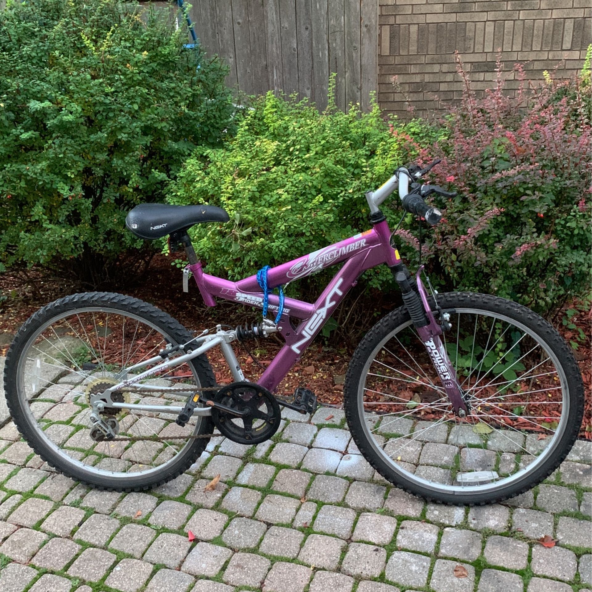 Bike “NEXT “ Power Climber - Main Image