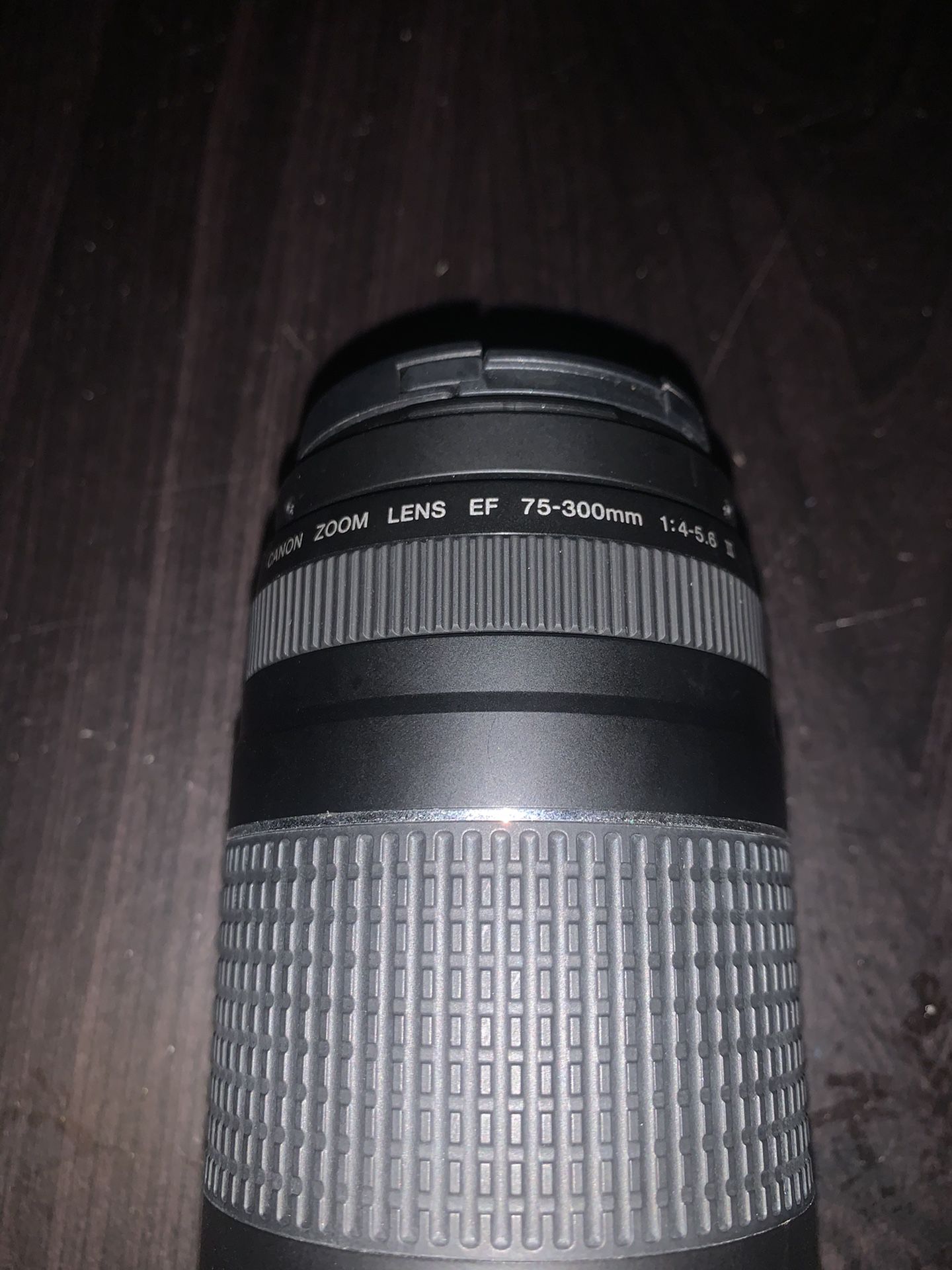 Canon EF 75-300mm f/4-5.6 iii Telephoto Zoom Lens