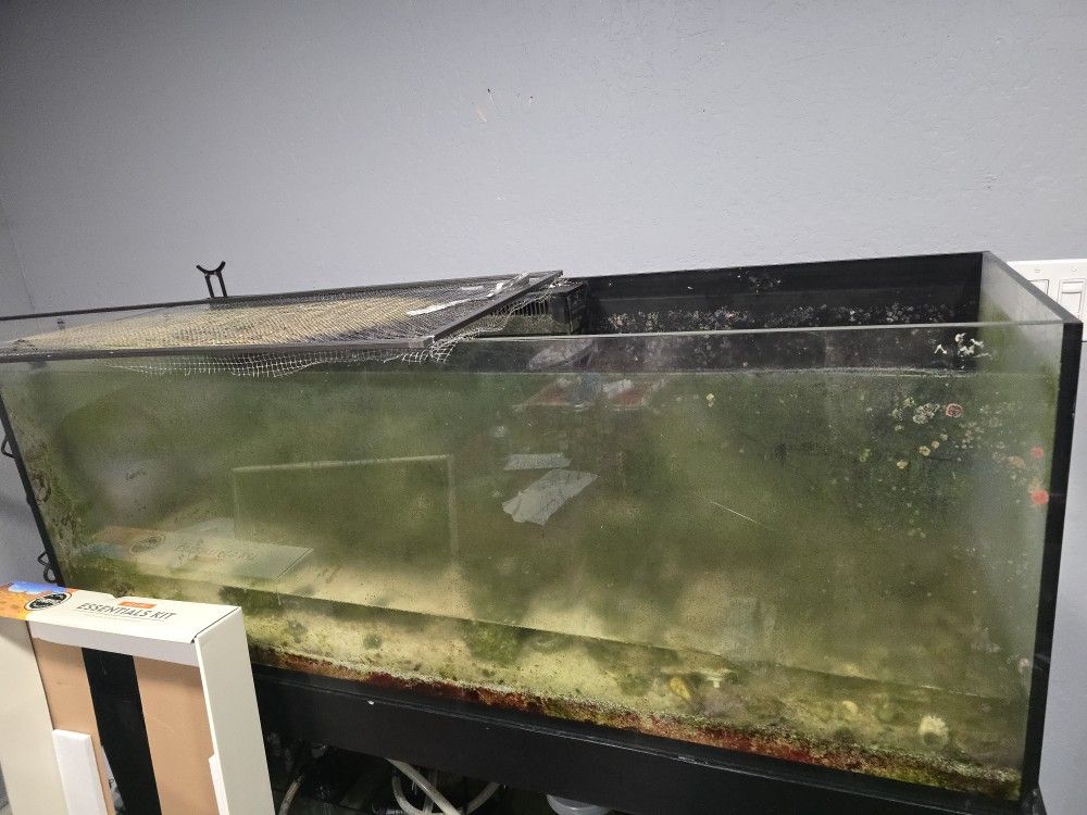 Freee Aquarium Need It Gone