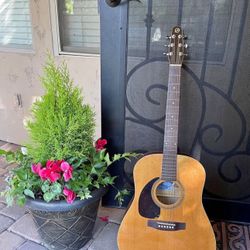 MAKE OFFER - Seagull Acoustic Guitar S6 + Cedar GT Left-handed With Case
