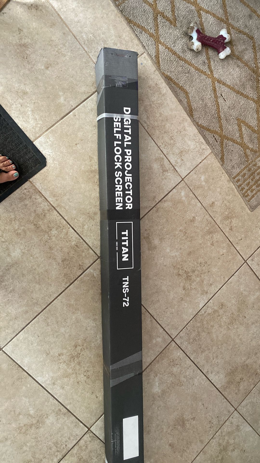 Digital Projector