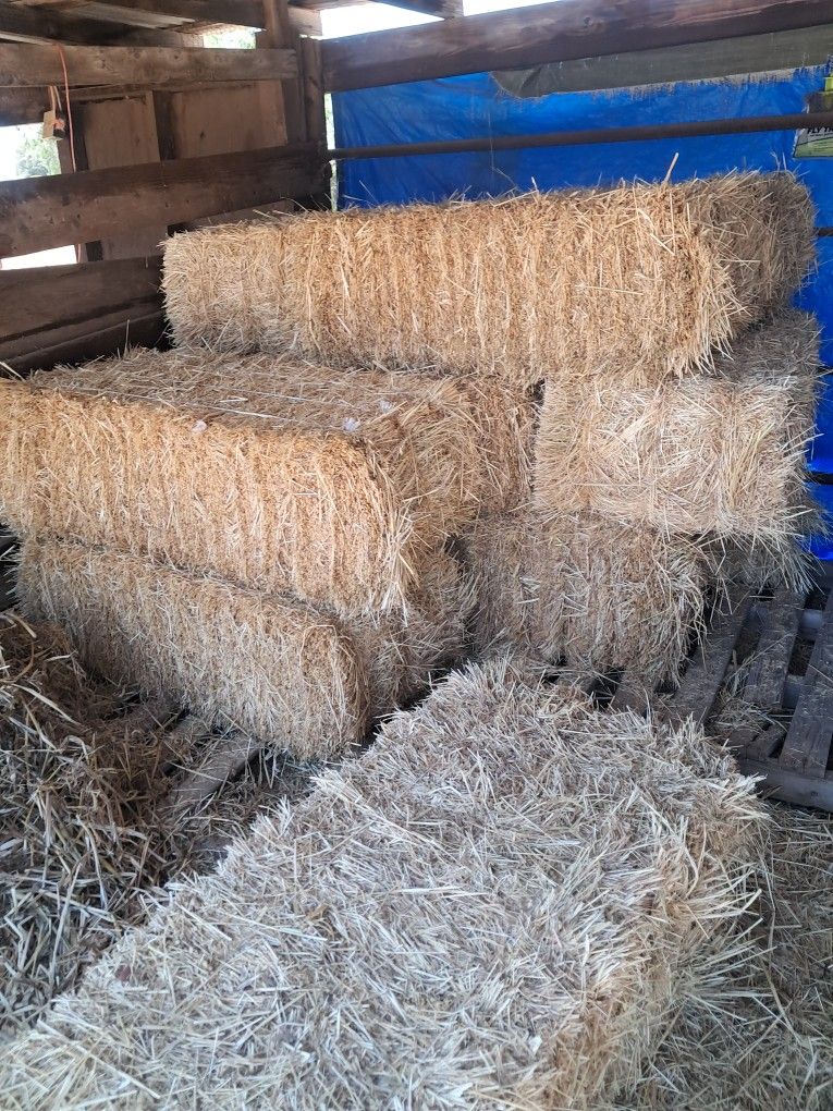 Foliage Hay