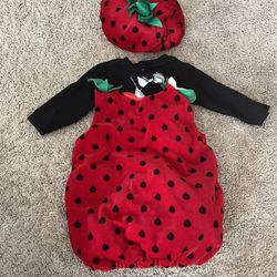 Lady Bug Halloween Costume