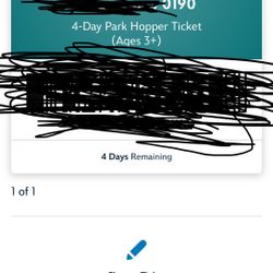 4 Day Disney Pass Park Hopper 