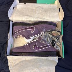 Nike SB Purple Lobster Dunks Size 11