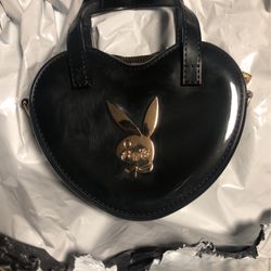 Small Handbag . Brand New 
